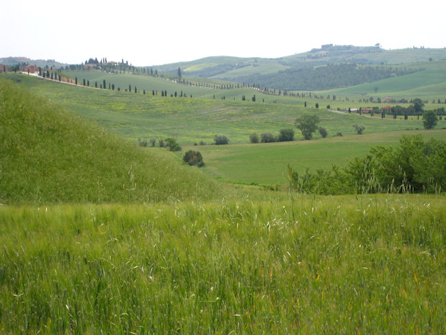 Toscana pics